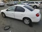 2004 Dodge Neon SXT