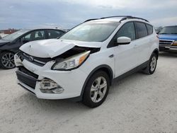 Salvage cars for sale at Arcadia, FL auction: 2015 Ford Escape SE