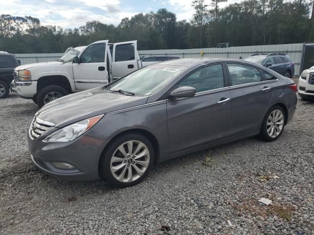 2011 Hyundai Sonata SE