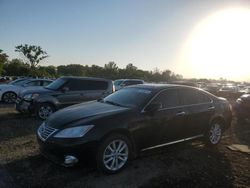 Salvage cars for sale at Des Moines, IA auction: 2012 Lexus ES 350