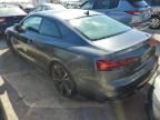 2024 Audi S5 Premium Plus