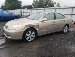 Salvage cars for sale at auction: 2005 Lexus ES 330