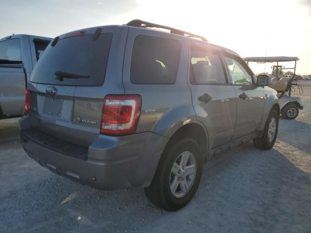 2008 Ford Escape HEV