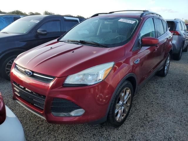 2013 Ford Escape SE