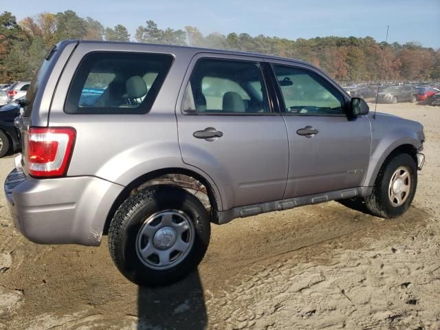 2008 Ford Escape XLS