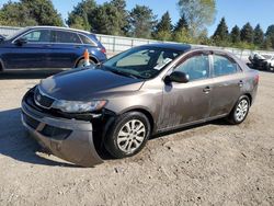 Salvage cars for sale at Elgin, IL auction: 2013 KIA Forte EX