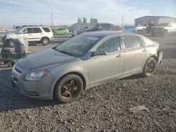 Chevrolet salvage cars for sale: 2009 Chevrolet Malibu 1LT