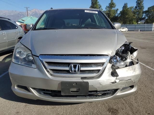 2005 Honda Odyssey EXL