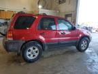 2007 Ford Escape XLT