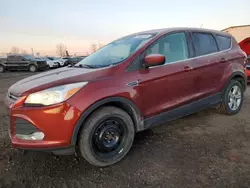 Salvage cars for sale at Rocky View County, AB auction: 2014 Ford Escape SE