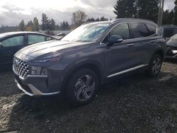 2023 Hyundai Santa FE SEL Premium en venta en Graham, WA