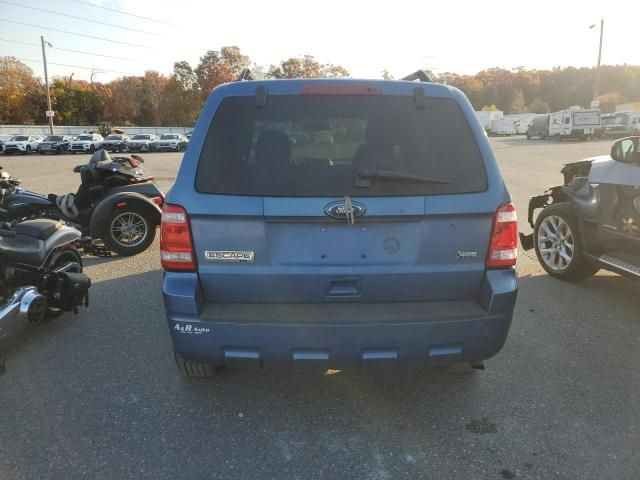 2010 Ford Escape XLT