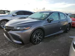 Salvage cars for sale at Riverview, FL auction: 2022 Toyota Camry Night Shade