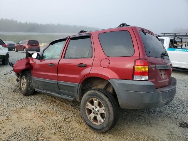 2006 Ford Escape XLT