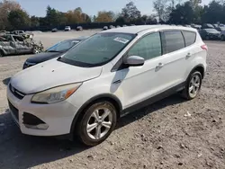 Salvage cars for sale at Madisonville, TN auction: 2013 Ford Escape SE