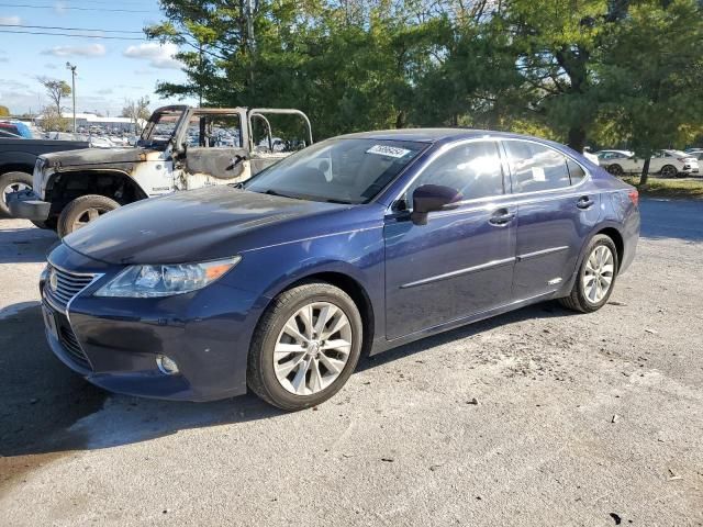 2014 Lexus ES 300H