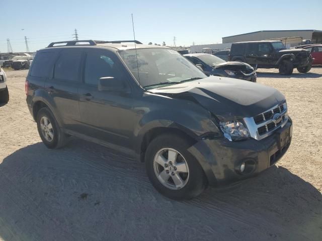 2009 Ford Escape XLT