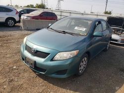 Toyota salvage cars for sale: 2010 Toyota Corolla Base