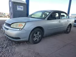 Salvage cars for sale at Phoenix, AZ auction: 2005 Chevrolet Malibu LS