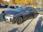 2019 Lexus UX 250H