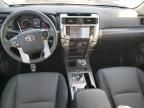 2024 Toyota 4runner SR5/SR5 Premium