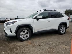 Salvage cars for sale at San Diego, CA auction: 2019 Toyota Rav4 LE