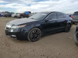 Vehiculos salvage en venta de Copart Brighton, CO: 2012 Acura TL