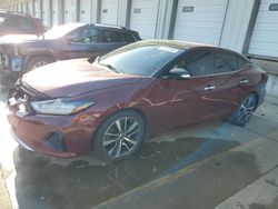 2019 Nissan Maxima S en venta en Louisville, KY