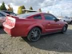 2005 Ford Mustang