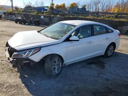 2017 Hyundai Sonata SE en venta en Marlboro, NY