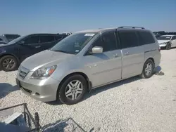 Salvage cars for sale at Taylor, TX auction: 2007 Honda Odyssey EXL