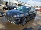 2022 Ford Escape Hybrid