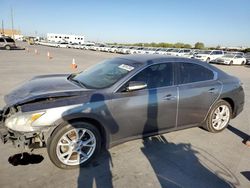 Nissan Maxima S Vehiculos salvage en venta: 2014 Nissan Maxima S