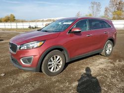 Salvage cars for sale at Columbia Station, OH auction: 2017 KIA Sorento LX