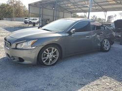 Nissan salvage cars for sale: 2014 Nissan Maxima S