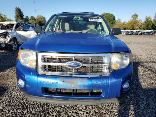 2011 Ford Escape XLT