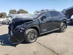 Salvage cars for sale at Hayward, CA auction: 2025 Lexus NX 350H Base