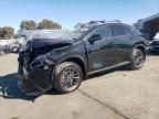 2025 Lexus NX 350H Base