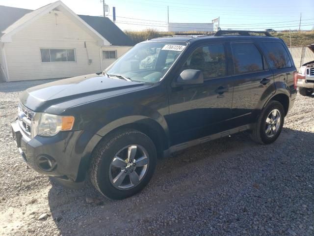 2010 Ford Escape XLT