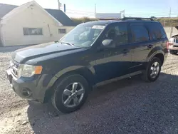 Carros con verificación Run & Drive a la venta en subasta: 2010 Ford Escape XLT