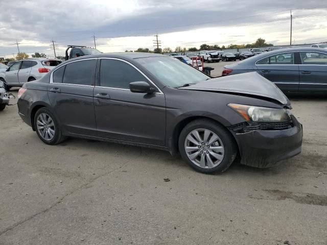 2011 Honda Accord EXL