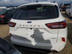 2023 Ford Escape ST Line Select