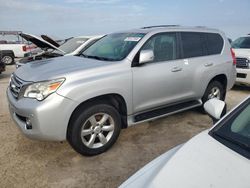 Salvage cars for sale at Arcadia, FL auction: 2010 Lexus GX 460