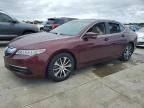 2016 Acura TLX Tech