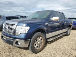 Ford f150 Supercrew Vehiculos salvage en venta: 2013 Ford F150 Supercrew