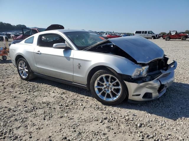 2010 Ford Mustang