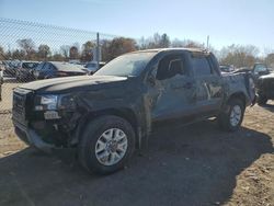 Salvage cars for sale at Chalfont, PA auction: 2023 Nissan Frontier S