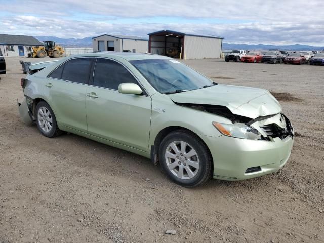 2009 Toyota Camry Hybrid