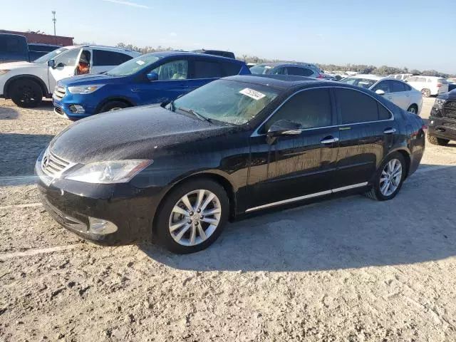 2011 Lexus ES 350