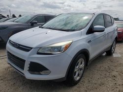 Salvage Cars with No Bids Yet For Sale at auction: 2014 Ford Escape SE